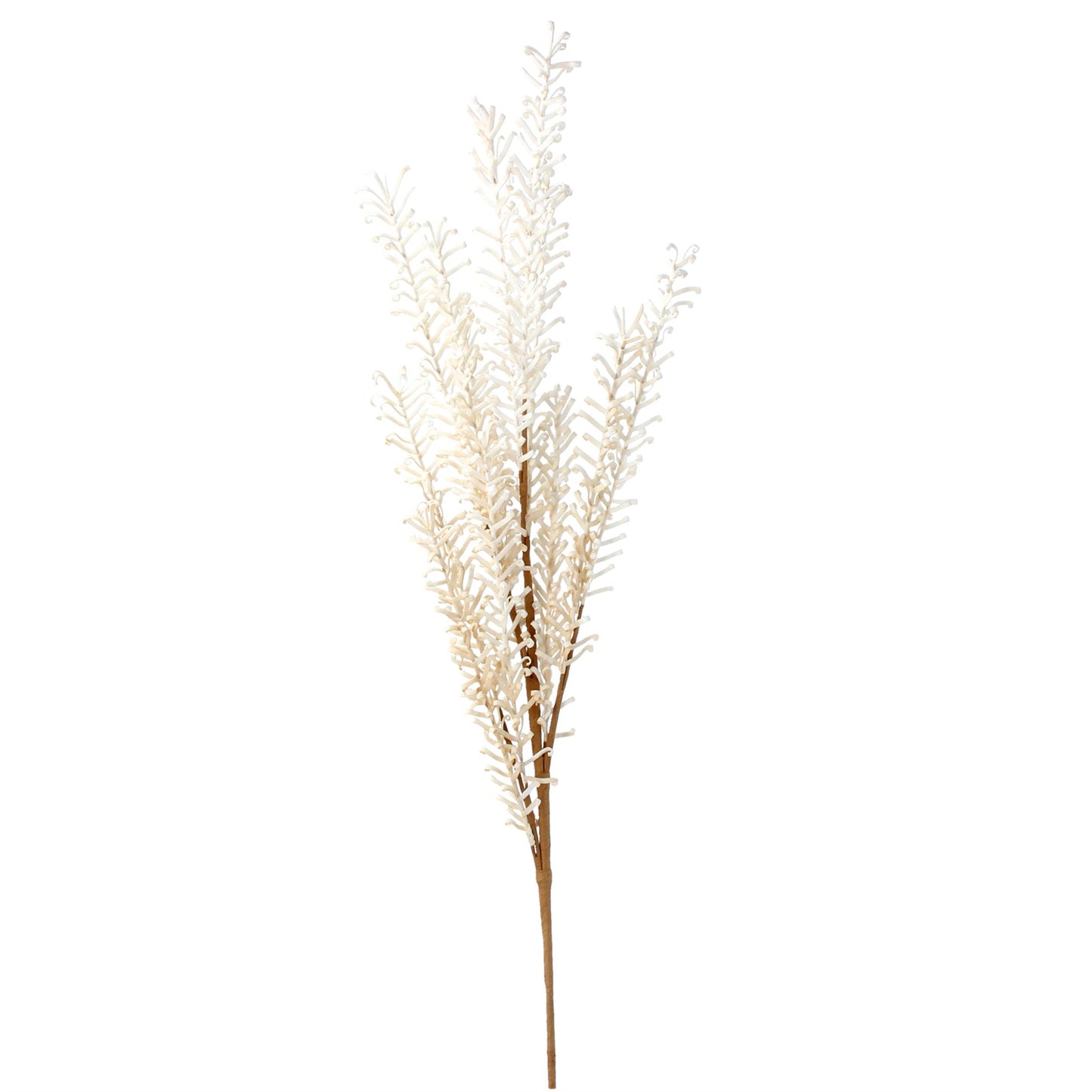 Spray 75cm - Natural Feathered Reed
