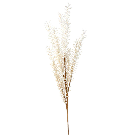 Spray 75cm - Natural Feathered Reed